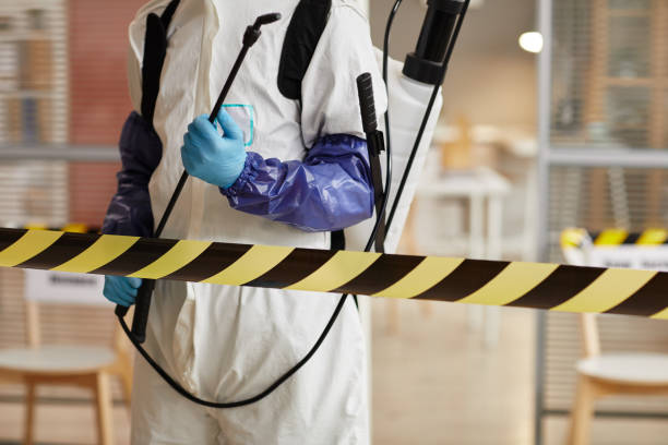 Professional Odor Removal technician working in Jamestown, OH
