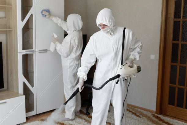 24/7 Emergency Odor Removal experts in Jamestown, OH