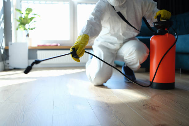 Reliable Odor Removal contractor in Jamestown, OH by Trauma Clean Pros